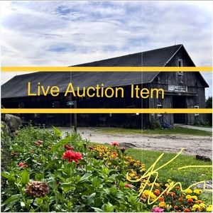 Sail To Sable Blouse